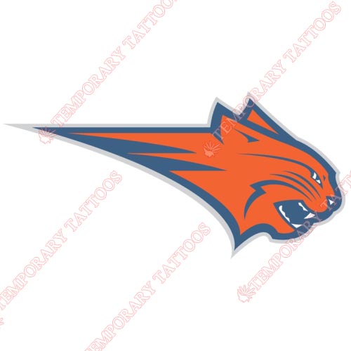 Charlotte Bobcats Customize Temporary Tattoos Stickers NO.928